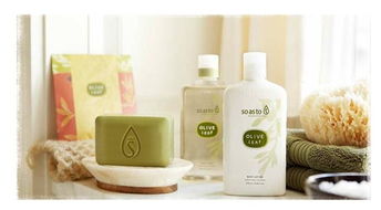 探索Soasto化妝品 產品視覺與店鋪裝修的藝術